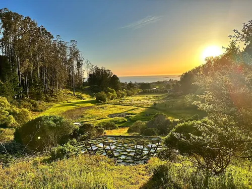 The Lab in Half Moon Bay